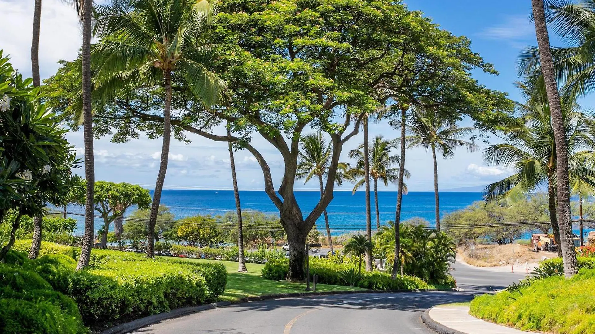 Maui Kamaole A-206 - Prime Location, Stunning Renovation, Large Lanai, Split Ac! Villa Wailea  USA
